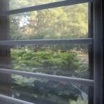 High Strength Mosquito Window Screen For Vegetables Protection And Pest Defense