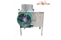 China Garlic Divide Machine Garlic Bulb Separator Garlic Breaking Machine Garlic Separating Machine supplier
