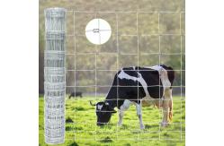 China Galvanized Steel Cattle Fence Netting High Tensile Wire Weatherproof Security supplier