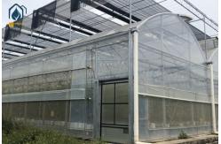 China Large Complete Waterproof Multi Span Greenhouse For Tomato Plant Growing supplier