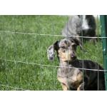 1/2x1 1x1 16 Gauge Galvanized Welded Wire Mesh 25mmx25mm Rust Resistance for sale