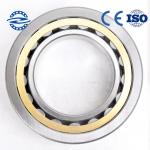 Brass Cage Bearings cylindrical roller bearing  OF NU / NJ203 bearing for sale