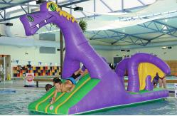 China Creative Purple Dragon Water Obstacle Slide For Swimming Pool Games supplier