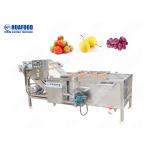 Vegetable Washing Machine Tomato Washing Machine Vegetable Wash Line Automatic Vegetable Washer for sale