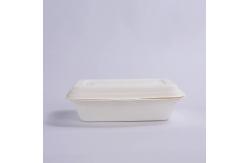 China Hotel Microwavable Sugarcane Bagasse Clamshell Disposable Take Away Bagasse Lunch Box supplier