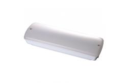 China Maintained / Non Maintained 3W Waterproof Emergency Light With 3 Years Warranty supplier