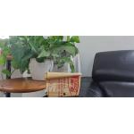Plexiglass 3mm Clear Cast Acrylic Sheet Moulding Anti Impact for sale