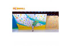 China Indoor Climbing Wall Training Board For Playground Adventure Park supplier