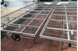 China Indoor Greenhouse Wire Mesh Seed Bench Adjustable Height Nursery Seedbed Rolling Bench supplier