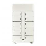 Metal Self Service Smart Refrigerated Food Fresh Locker Frozen Storage Locker