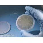 Dummy Research 2 Inch 6H-Semi Silicon Carbide Wafer for sale