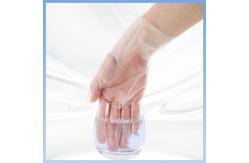 China Non Toxic TPE Clear Food Service Gloves Disposable Latex Free Gloves supplier