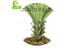 China Height 90cm Artificial Succulent Plant supplier