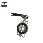 Electric Actuation Centerline Butterfly Valve for Steam and Oil Medium Applications for sale
