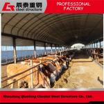 Prefab Customized Steel Structure Poultry House For Efficient / Hygienic Bird Rearing for sale