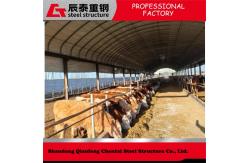 China Prefab Customized Steel Structure Poultry House For Efficient / Hygienic Bird Rearing supplier