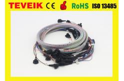 China Portable electroencephalogram eeg electrodes / eeg cap with Medical grad TPU Material supplier