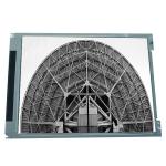LM100SS1T522 10.0 inch 800*600 31 pins CCFL CSTN LCD Module Display for sale