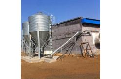 China Broiler Breeder Automated Poultry Feeding System supplier