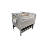 1000kg/h Food Factory Conveyor Belt Cleaning Brush Washing Machine for sale