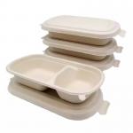 100 Biodegradable Packing Sugarcane Clamshell Food Container Disposable for sale
