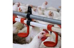 China Automatic Nipples Water Drinking system supplier