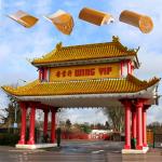 180*180 Chinese Temple Arch Gate Retro Style Faux Ceramic Clay Roof Tiles For Concrete Structure for sale