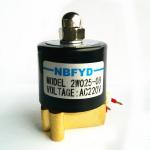 2W Igniter Burner Solenoid Valve Ignition Electrode Hydraulic For Gas Heater for sale