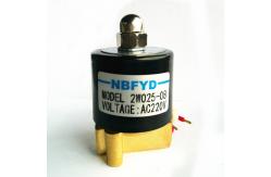China 2W Igniter Burner Solenoid Valve Ignition Electrode Hydraulic For Gas Heater supplier