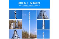 China WIFI Octagonal microwave Lattice Cell Phone Tower supplier