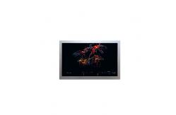 China AA121XH04 12.1 inch LCD panel 1024*768 LCD screen supplier