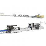 Fully automated general lithium battery production line battery manufacturing packaging equipment for sale