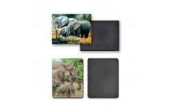 China Gifts Custom Fridge Magnets CMYK Printing supplier
