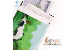 China OEM ODM Courier Poly Mailer Bags PDF AI CDR format Avaiable supplier