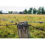 Rust Resistance 3or 4inch Barb Distance Galvanized Barbed Wire Roll for sale