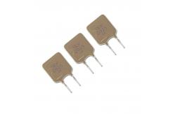 China Polyfuse PPTC Resettable Fuse 600V 0.25A TRG025 For ADSL PBX VOIP supplier