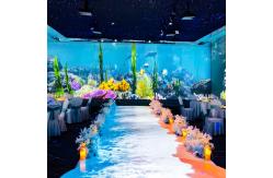 China New Technology 3d Immersive Experience Projector Dining Immersive Projection Room supplier