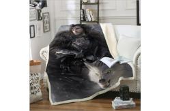 China Customized Printed Microplush Home Warm Soft Fleece Blanket supplier