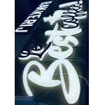 Anti Corrosion Waterproof ODM CE Channel Acrylic Box Letters for sale