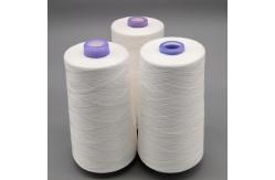 China 100% Recycled Polyester Thread supplier