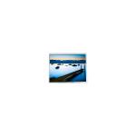 27.0 Inch 2560*1440 51 Pins 100Hz LCD Display MV270QHB-NX3  for sale
