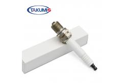 China Commercial Industrial Spark Plug For  CUMMINS GUASCOR Jenbacher Wakesha supplier