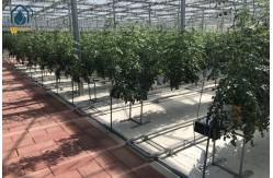 China Agricultural Substrate Planting Gutter Steel Large Scale Hydroponic Planting System supplier