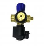 Solenoid CNG Cylinder Valve Car Gas Valve DC12V For Auto Gas Fuel System for sale
