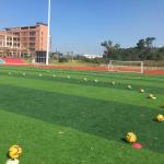 Highly cost-effective turf hybrid artificial  for football, soccer field for sale