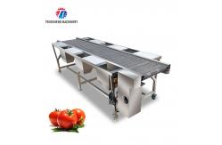 China Automatic Vegetable Sorting Machine Selection Table Food Processor supplier