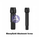 Osstem GS TS Hex 1.22mm Dental Implant Titanium Screw