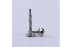 China Stainless Steel Self Drilling TEK Screws Wafer Head Self Tapping Screw supplier