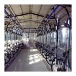Electronic 2300L/min Goat Milking Parlor Fish Bone Type for sale