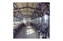 China SS304 Herringbone Milking Hall PVC pipeline Parallel Milking Parlor supplier